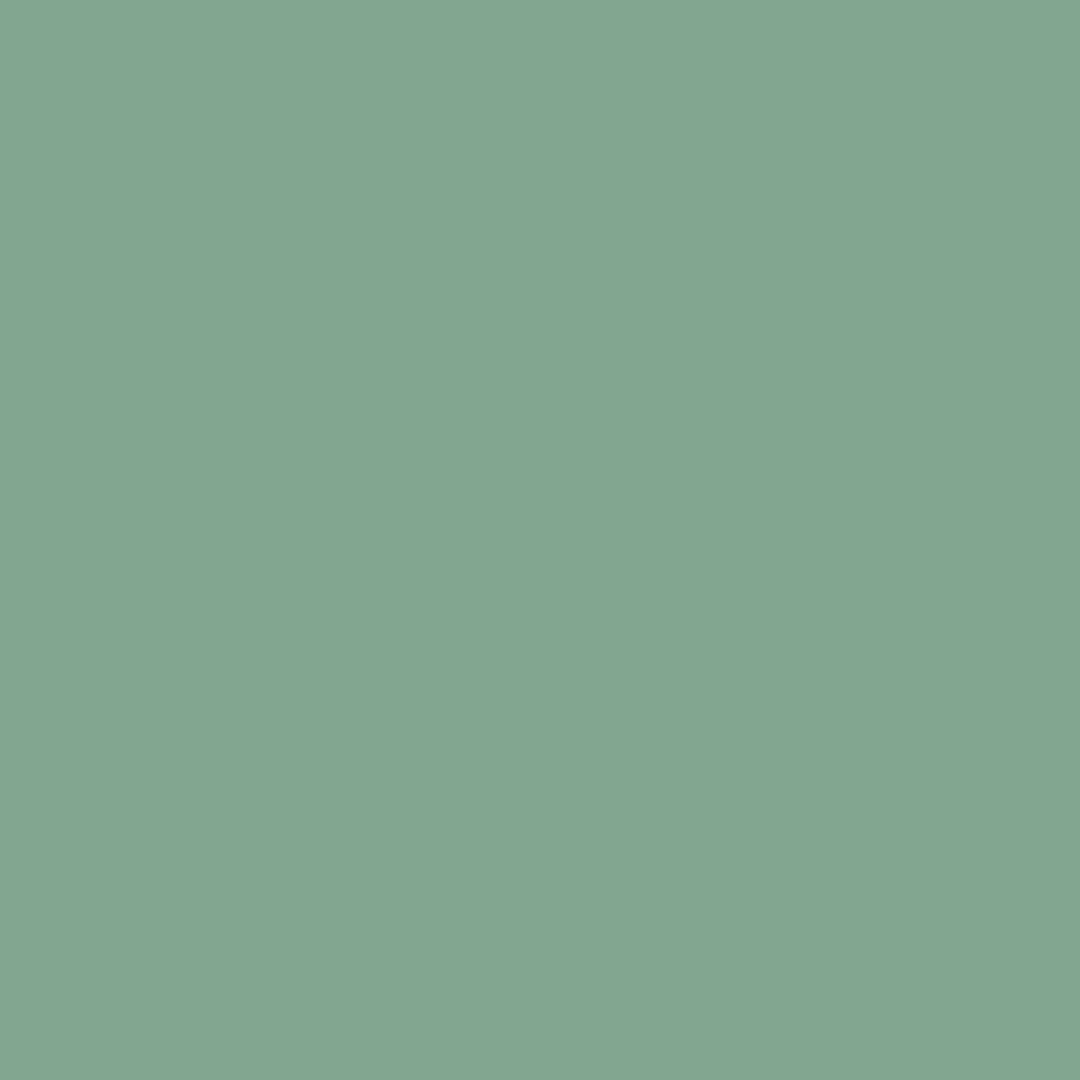 Laisse/Longe Tactique Biothane Rond