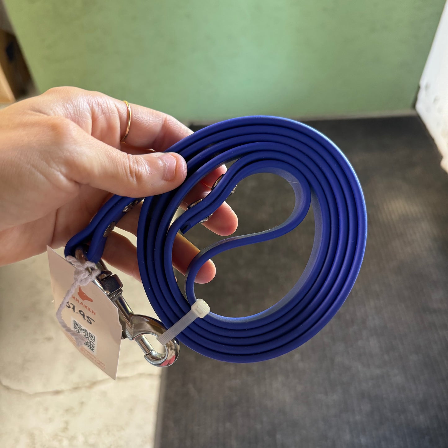 Laisse Standard Bleu royal 5 pieds