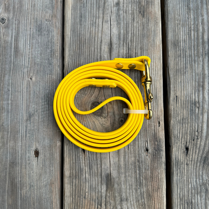 Standard Leash