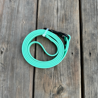 Standard Leash