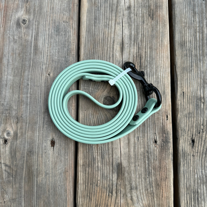 Standard Leash