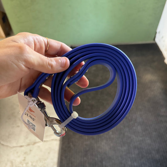 Laisse Standard Bleu royal 5 pieds