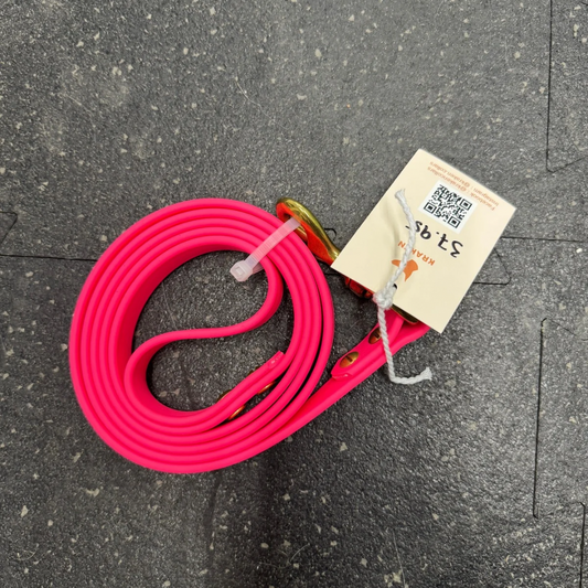 Laisse standard 5 pieds Rose Néon