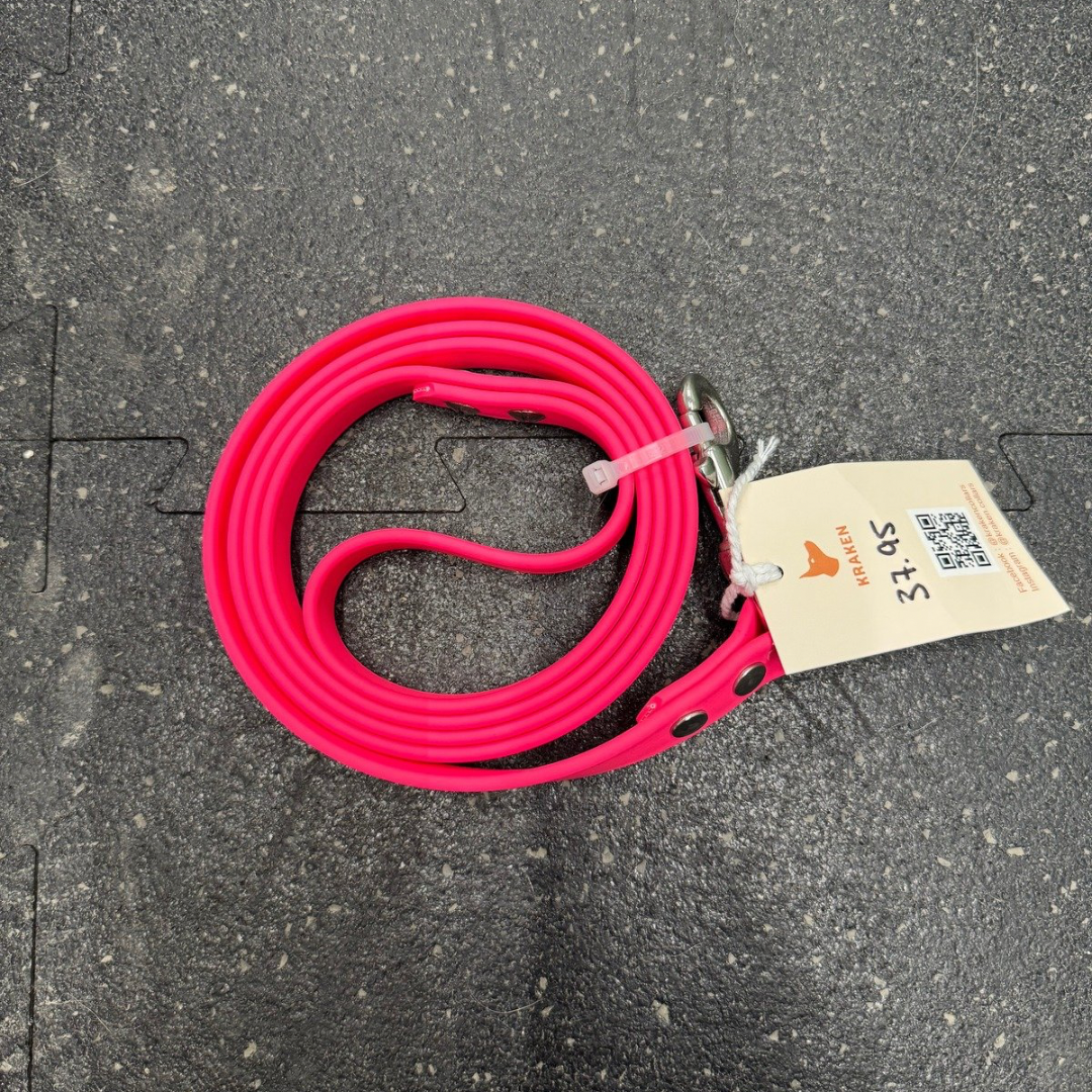 Laisse standard 5 pieds Rose Néon