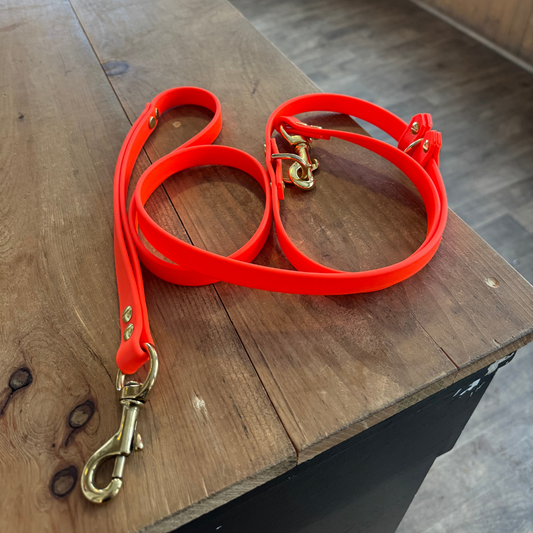 Laisse Multi-fonctions 6 pieds Orange