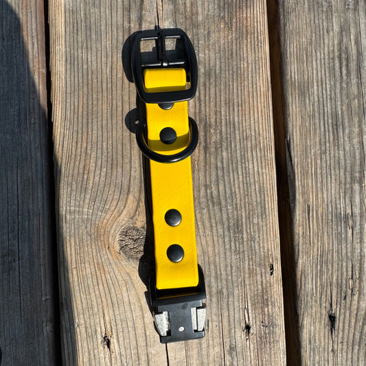 Yellow Quick Release Collar Buckle