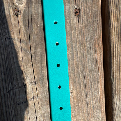 Standard Medium Teal Collar