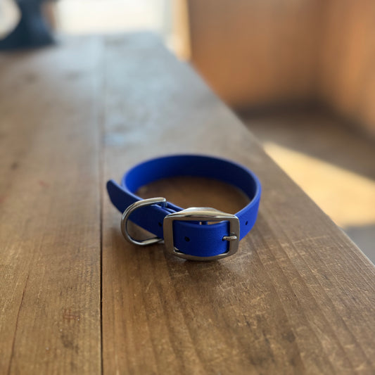 Collier Standard Petit Bleu royal