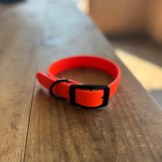 Collier Standard Petit Orange Néon