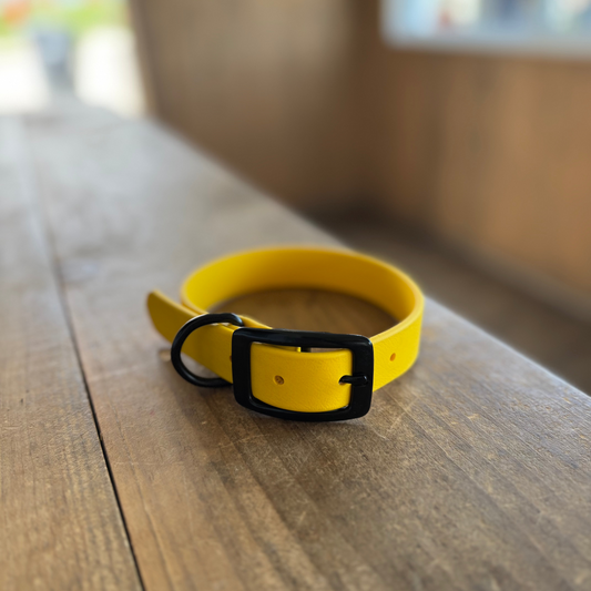 Collier standard Petit Jaune