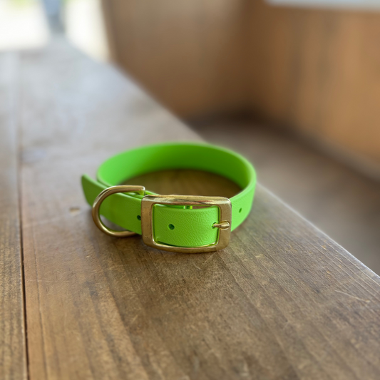Collier standard Petit Lime