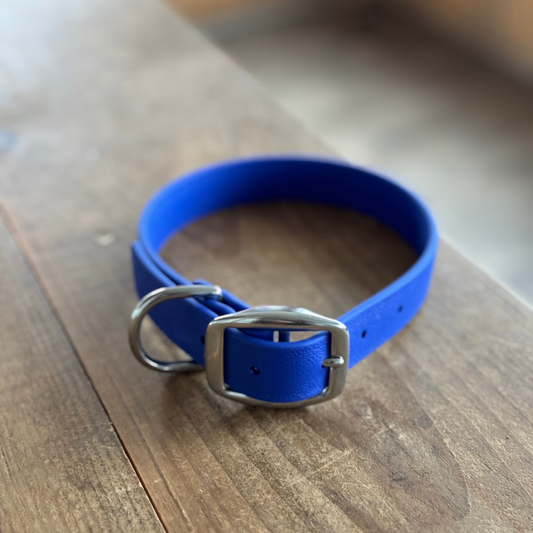 Collier standard Moyen Bleu royal