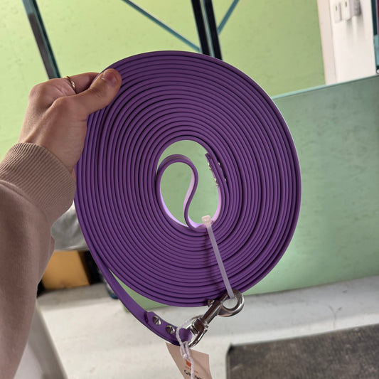 Longe Standard Améthyste 30 pieds